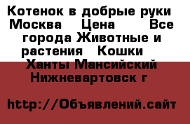 Котенок в добрые руки. Москва. › Цена ­ 5 - Все города Животные и растения » Кошки   . Ханты-Мансийский,Нижневартовск г.